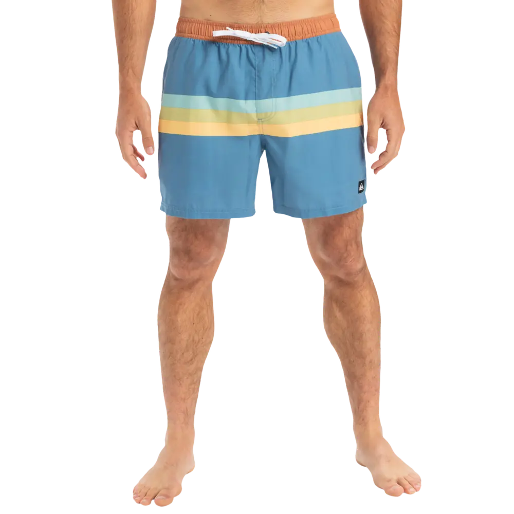 Bañador Quiksilver Everyday 15