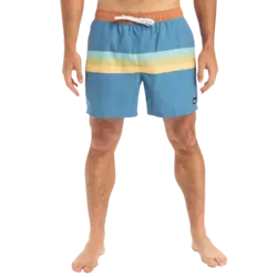 Bañador Quiksilver Everyday 15