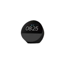 ECHO Spot Negro