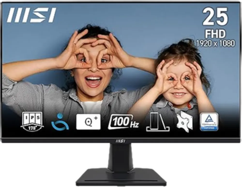 MSI Pro MP252 24,5