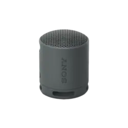 SONY SRS-XB100 Resistente