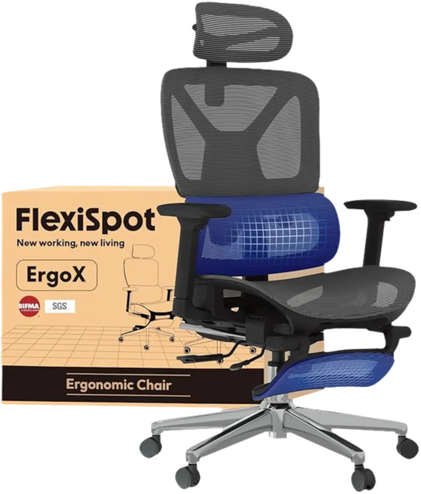 Flexispot ErgoX Silla Oficina