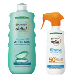Pack Garnier Delial