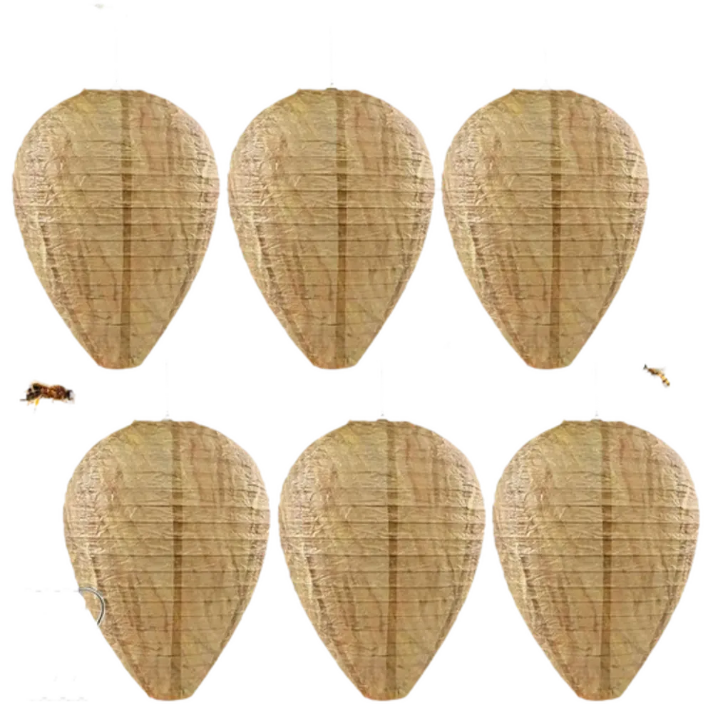 6 Piezas Nido de Avispas