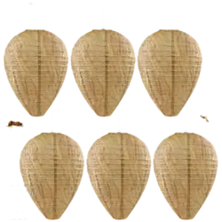 6 Piezas Nido de Avispas