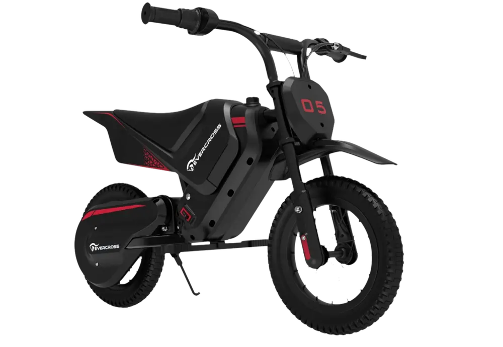 Moto eléctrica