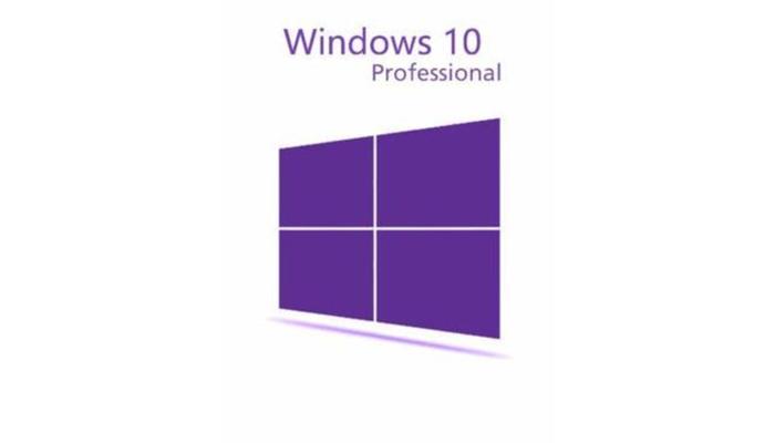 Windows 10 Professional