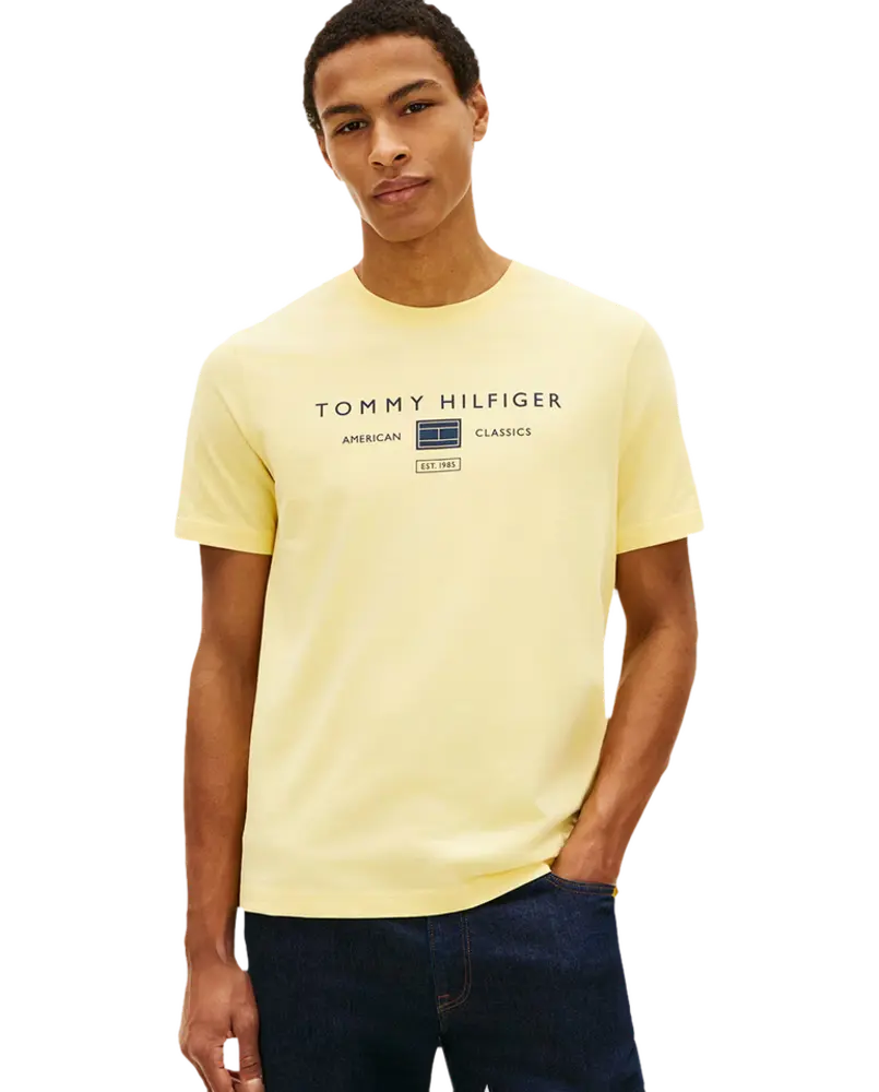 Camiseta de caballero