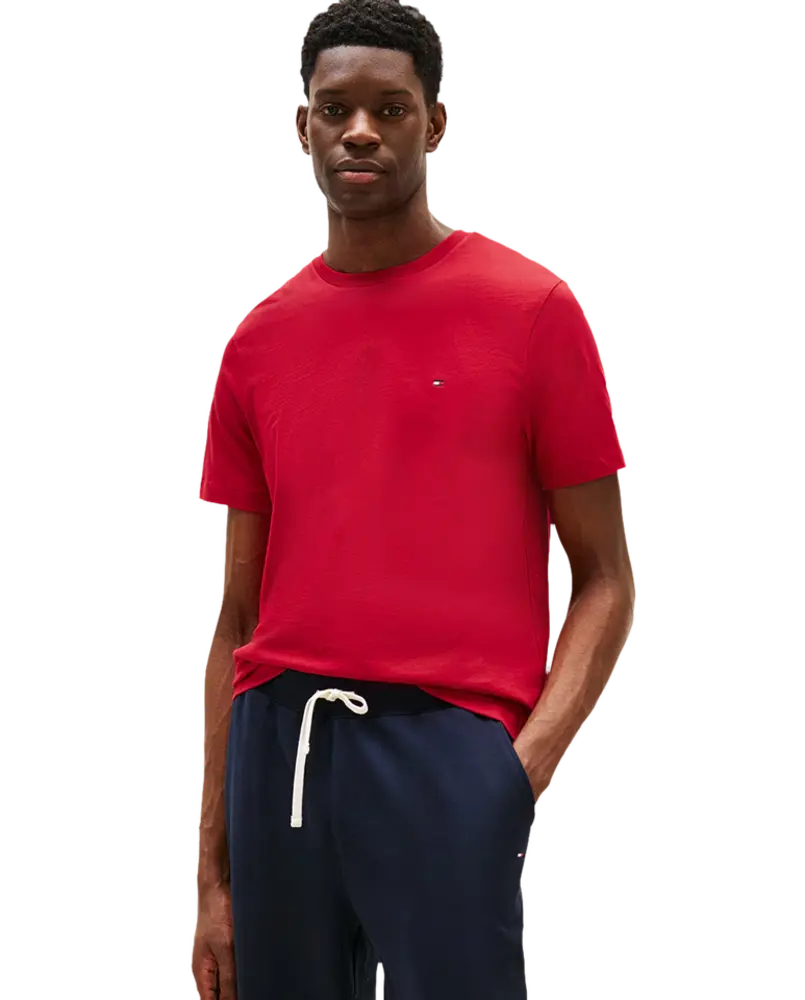 Camiseta de hombre regular