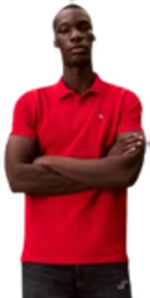 Polo calvin klein