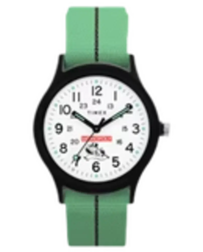 Timex TW2Y47100