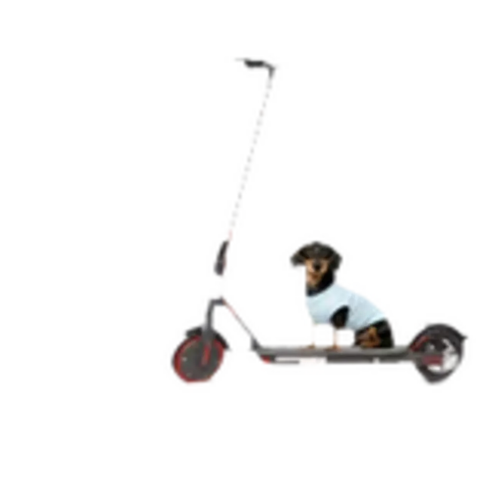 Patinete Eléctrico