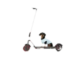 Patinete Eléctrico