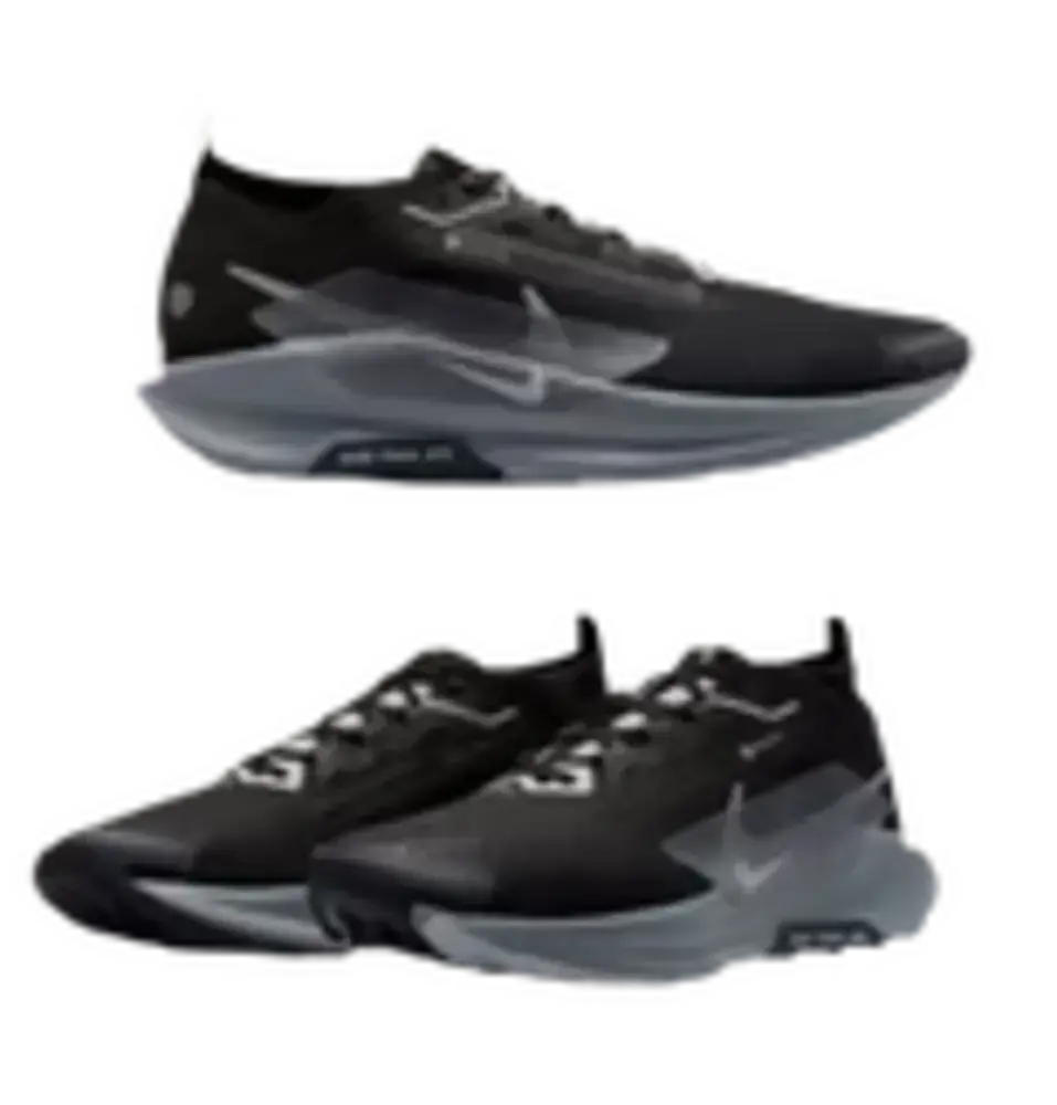 Nike Pegasus Trail 5 GoreTex