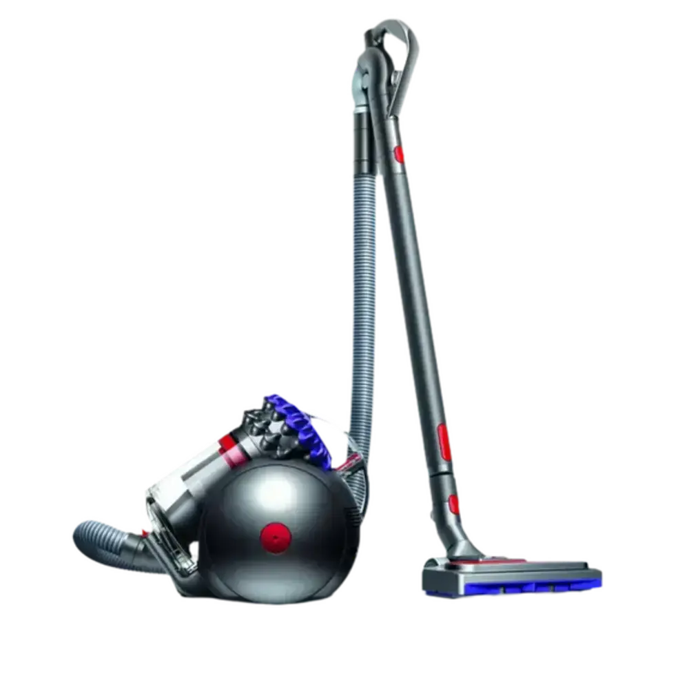Dyson Big Ball Parquet 2