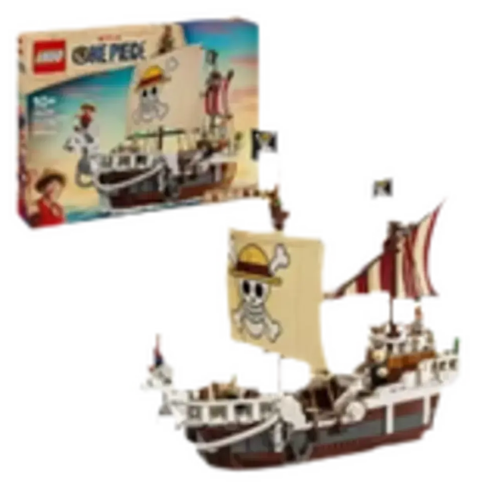 LEGO One Piece