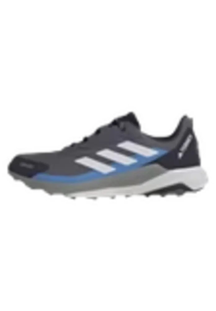 Zapatillas adidas Terrex Anylander