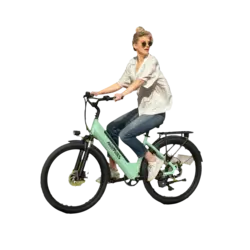 MileCity 1 Bicicleta eléctrica