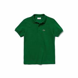 Polo Lacoste