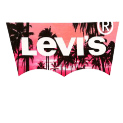 Especial Levi's