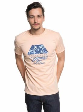Camiseta Quiksilver