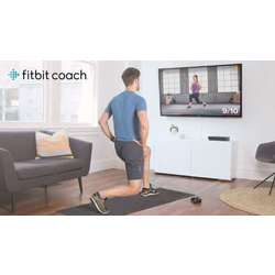 Fitbit Coach