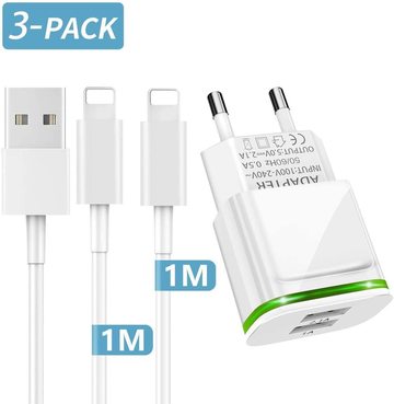 Cargador + Cable Lightning