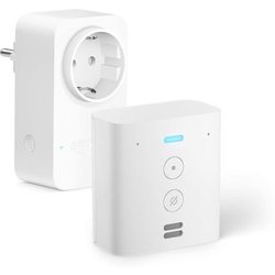 Echo Flex + Smart Plug
