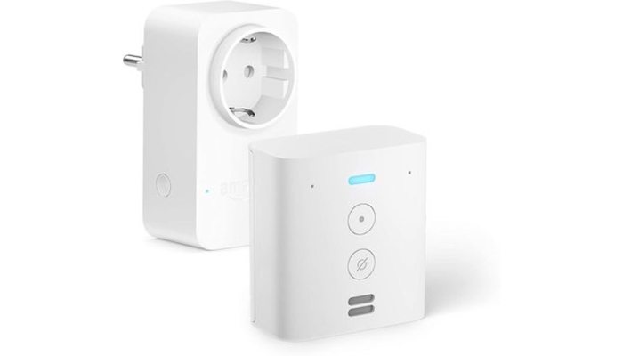 Echo Flex + Smart Plug