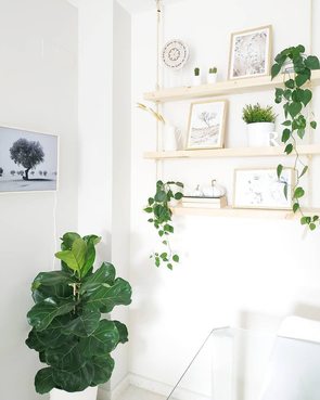 Estantería colgante