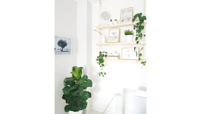 Estantería colgante