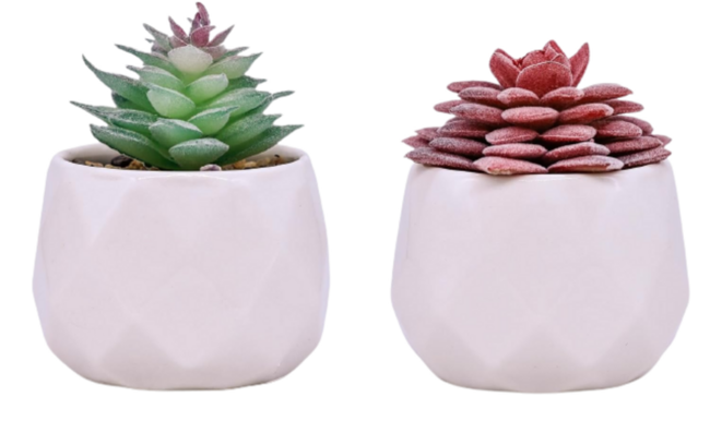 Pack de plantas artificiales