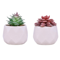 Pack de plantas artificiales