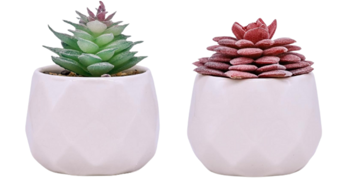 Pack de plantas artificiales