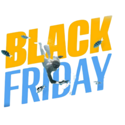Especial Black Friday