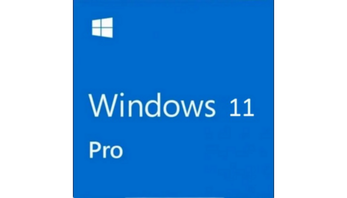 Windows 11 Pro