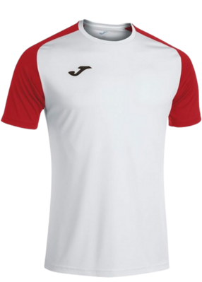 Camiseta Joma Academy IV