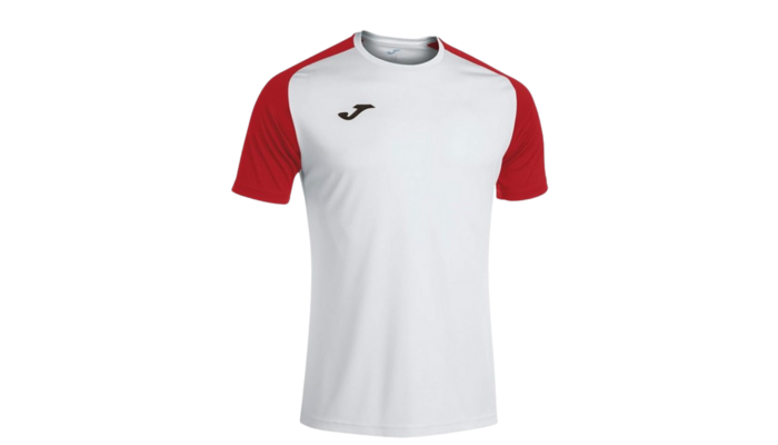Camiseta Joma Academy IV
