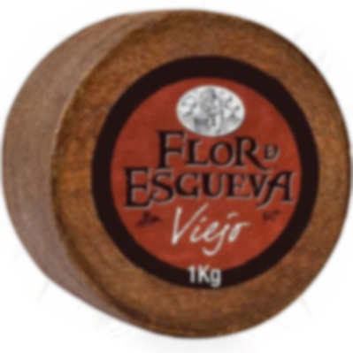 Flor de Esgueva
