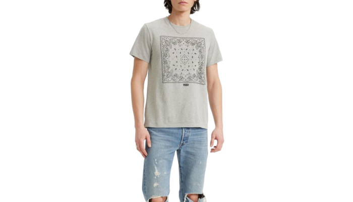 Levi's Graphic Tee