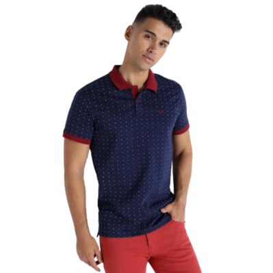 Polo Vitorio & Lucchino