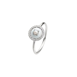 Anillo Aristrocrazy