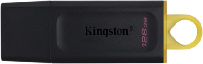 Kingston DataTraveler