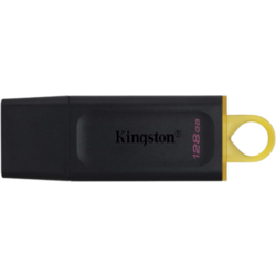 Kingston DataTraveler