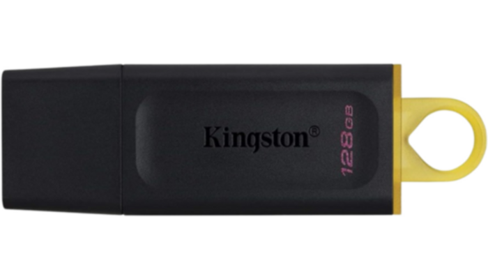 Kingston DataTraveler