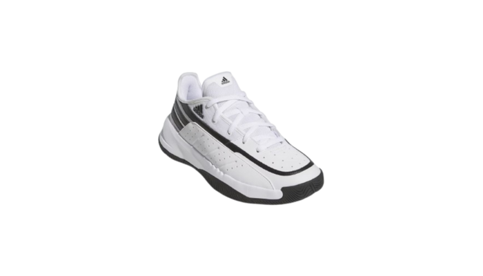 Zapatillas de baloncesto