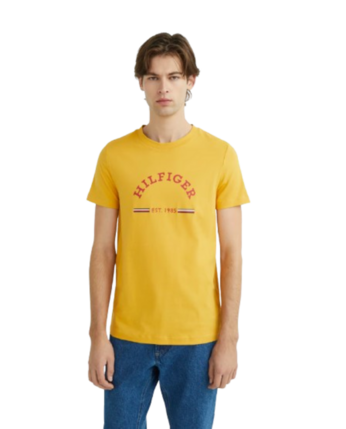 Camiseta Hilfiger