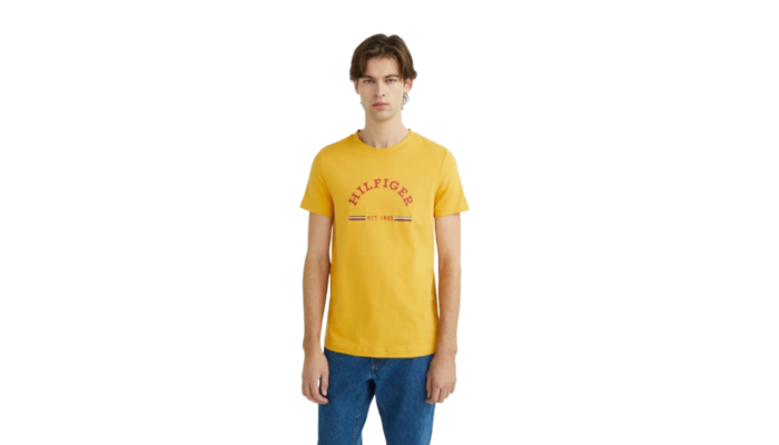 Camiseta Hilfiger