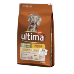Ultima Medium Adulto